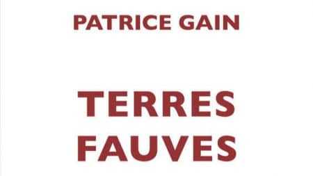 Patrice Gain Terres fauves