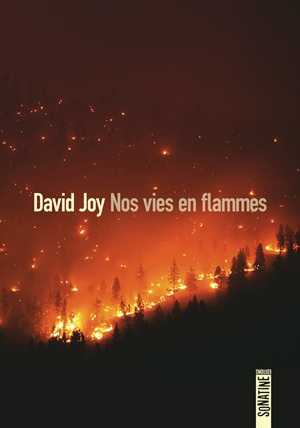 David Joy - Nos vies en flammes - Sonatine
