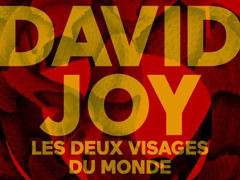 David Joy - Les Deux Visages du monde - Sonatine - Nos vies en flamme - Ce lien entre nous